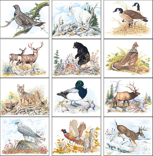 Wildlife Trek & Families 2023 Wall Calendar